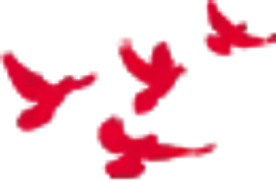 DƬ