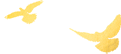DƬ