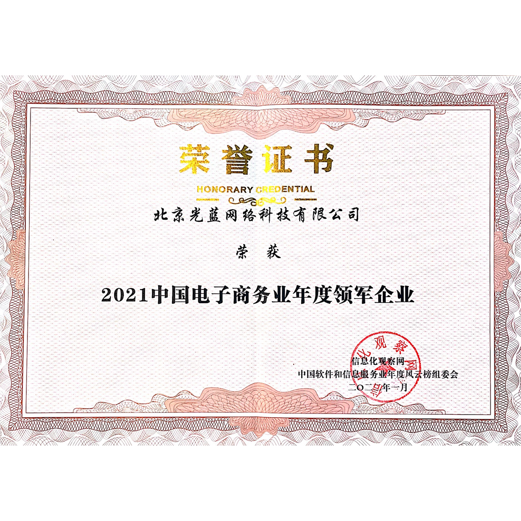 中國電子商務業年度領軍企業